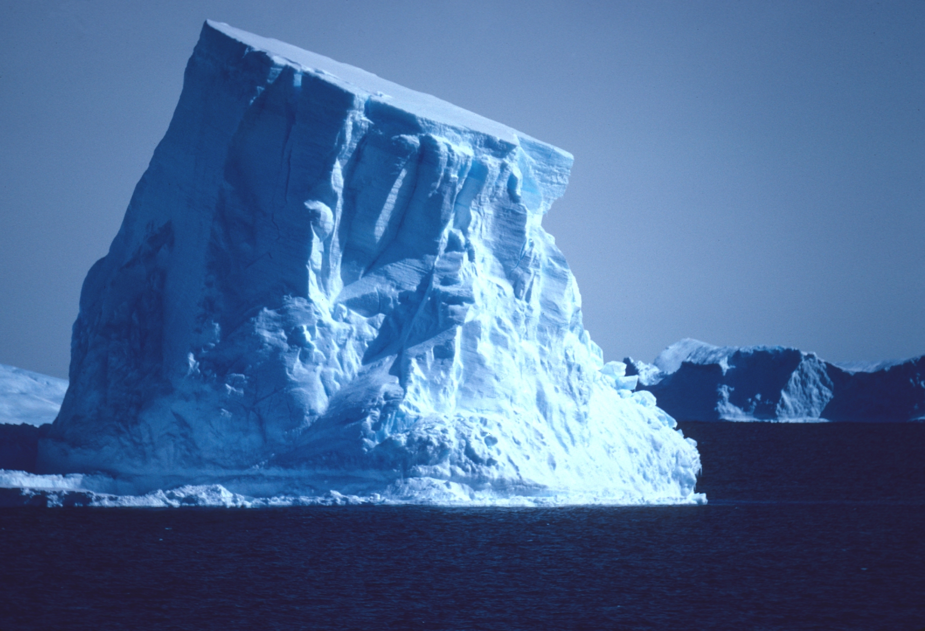 antarctica iceberg kid fact